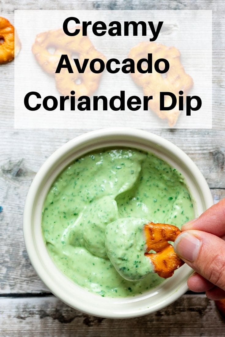 avocado coriander yogurt dip pin image