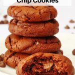 Double chocolate chip cookies pin image