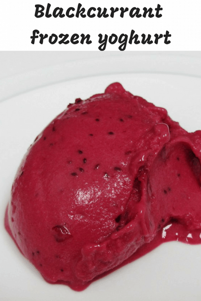 Blackcurrant frozen yogurt pin image