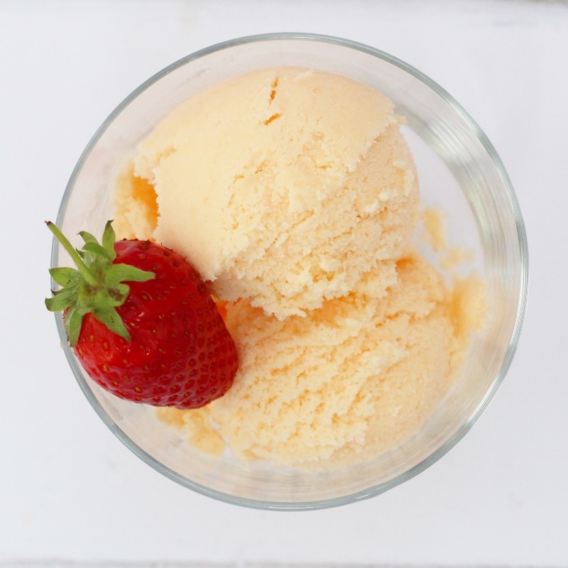 Cantaloupe melon frozen yoghurt