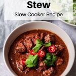 Mexican beef stew pin image