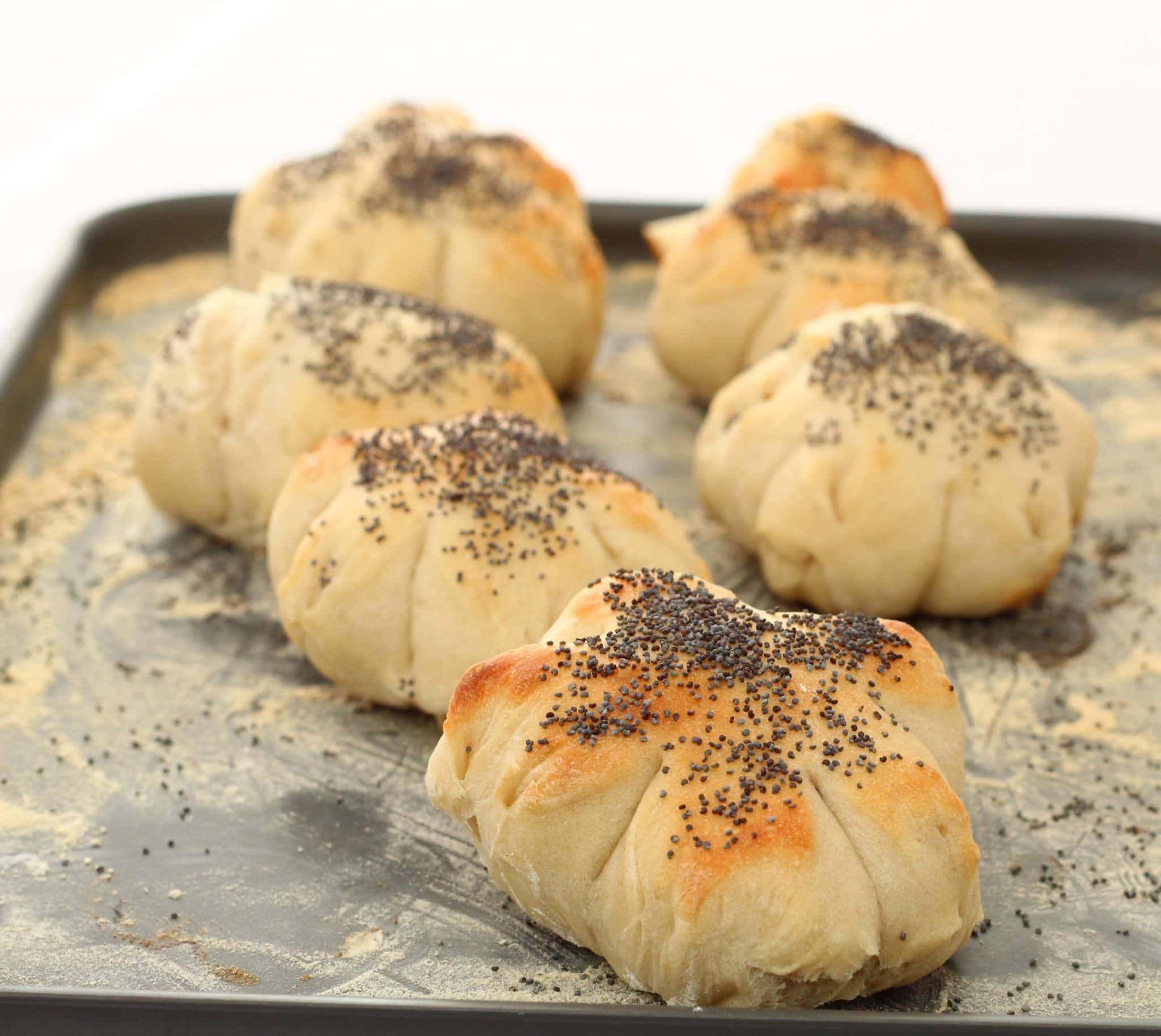 Basic bread rolls