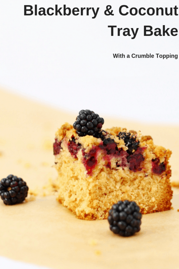 Blackberry and coconut tray bake pin image