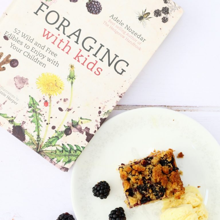 Blackberry and Coconut Tray Bake Foraging with Kids