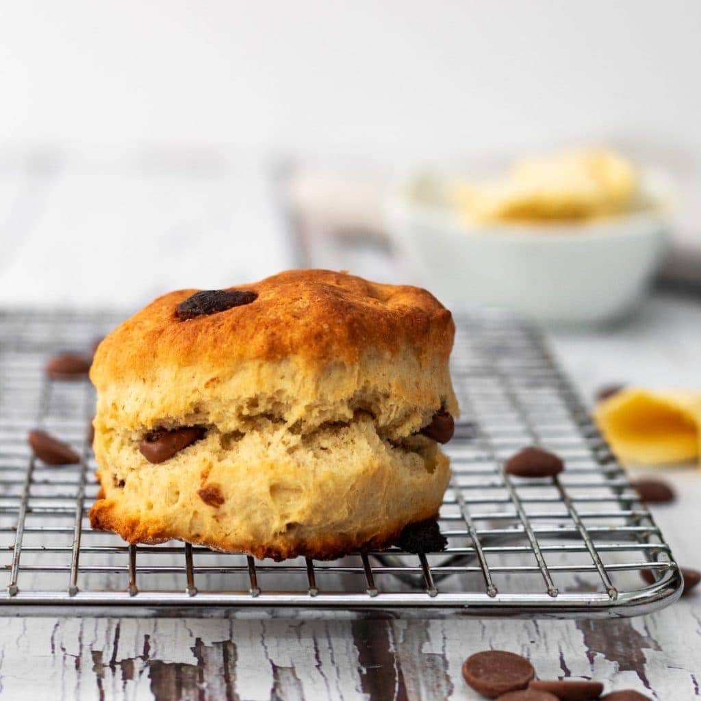 Chocolate chip scone on a cooling rack