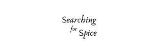 Searching for Spice