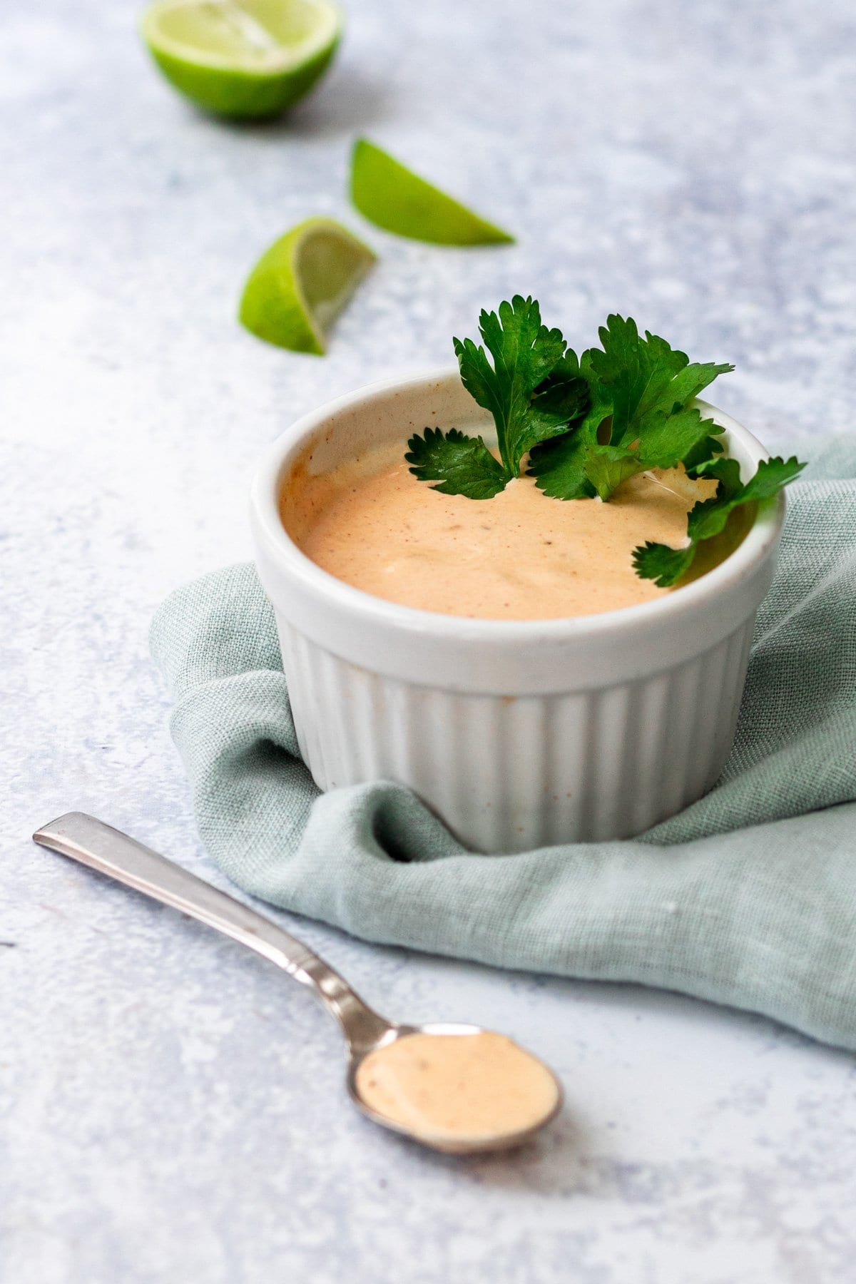 Chipotle Lime Mayo A Simple Spiced Mayonnaise Searching for Spice