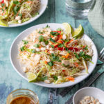 Plate of Asian chicken noodles salad