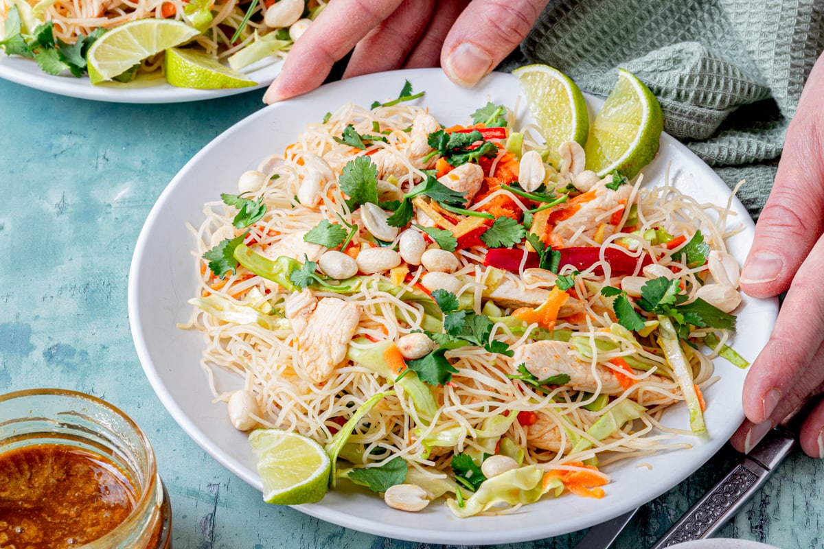 Asian Chicken Noodle Salad - Searching for Spice