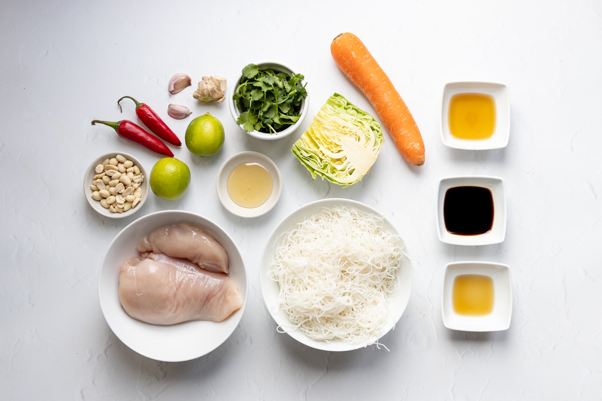 Ingredients for Asian chicken noodle salad