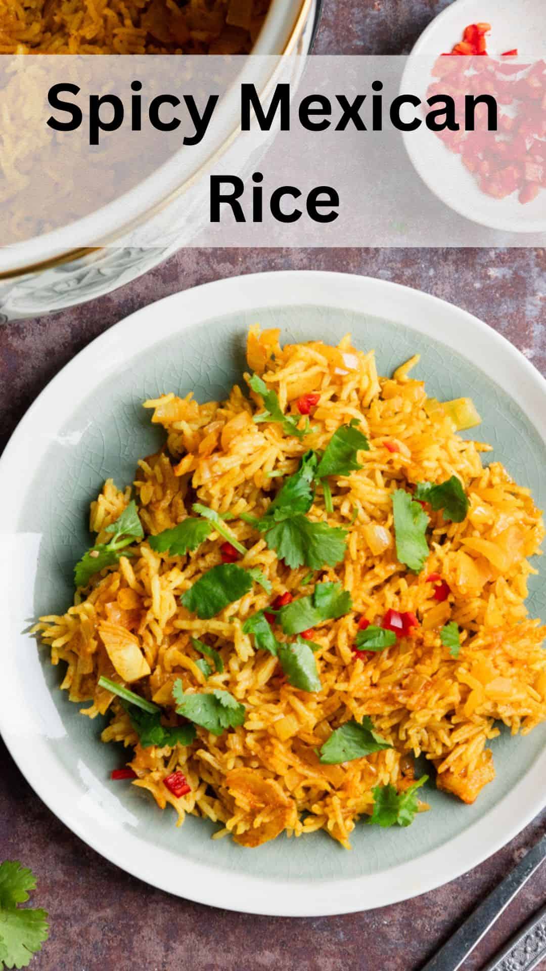 Sppicy Rice Spicy Mexican Rice (Vegan) - Searching for Spice